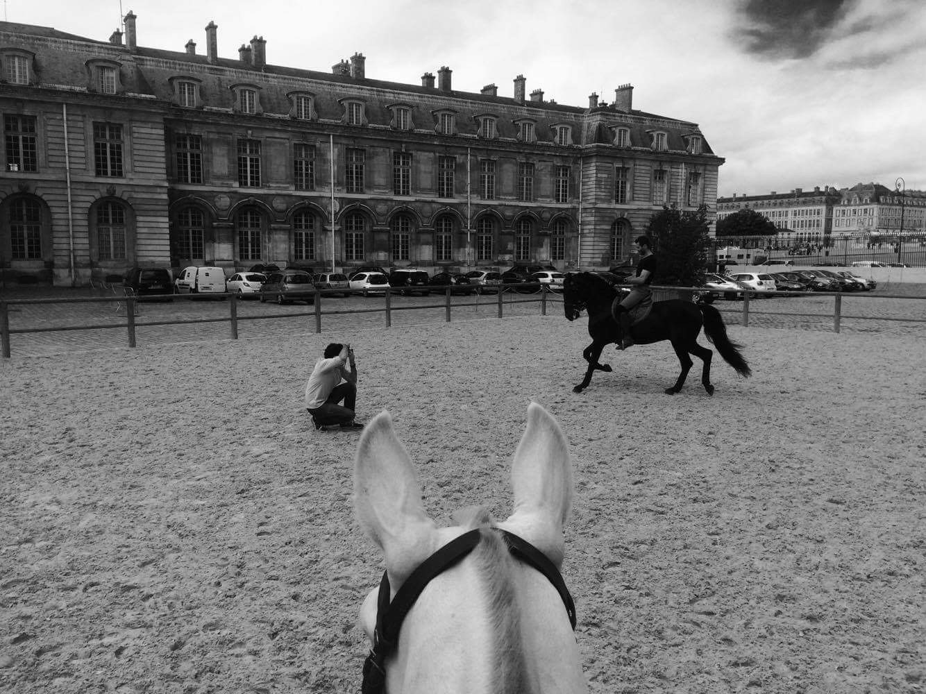 Académie Equestre de Versailles & Bartabas