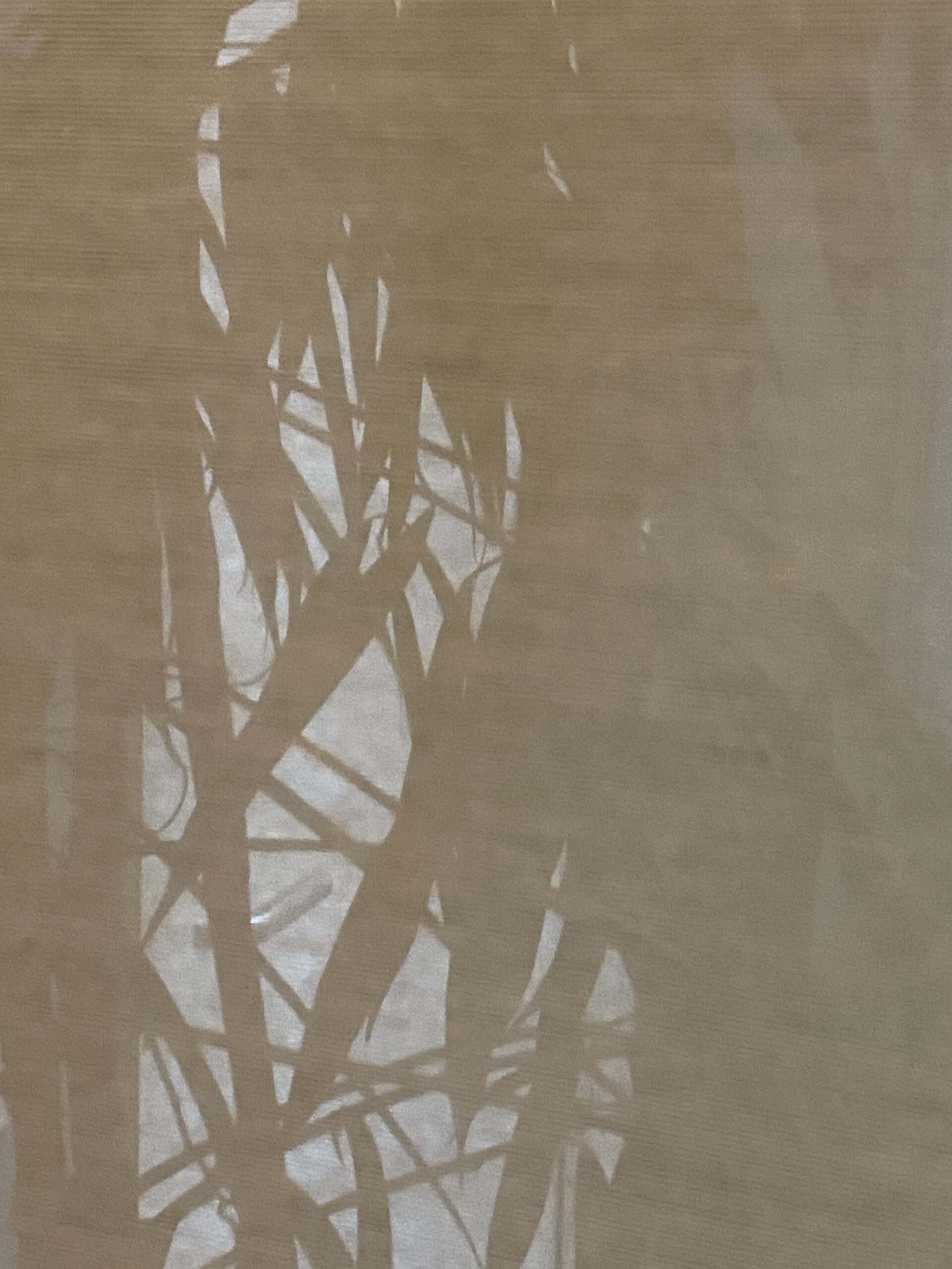 Cabinets de « Psy »…Un univers miroir